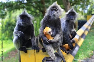 為什么每個(gè)孩子都需要一次海外游學(xué)